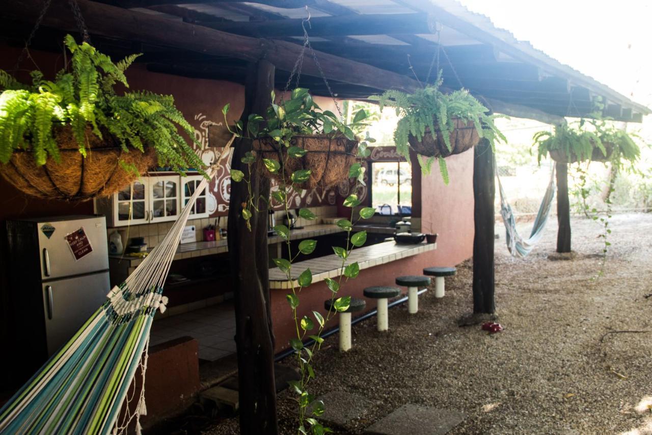 Tsunami Hostel Tamarindo Exteriör bild